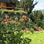 Rudera U Siostr Drewniany Stroza (Myslenice)