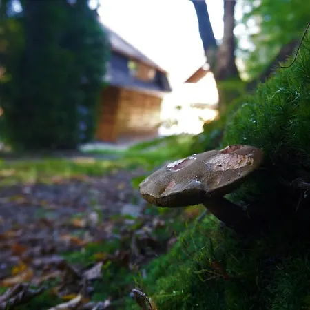 Rudera U Siostr Drewniany Stroza (Myslenice)