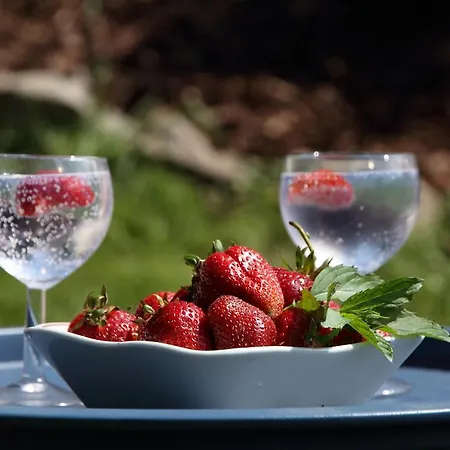Ferienhaus Rudera U Sióstr Drewniany *