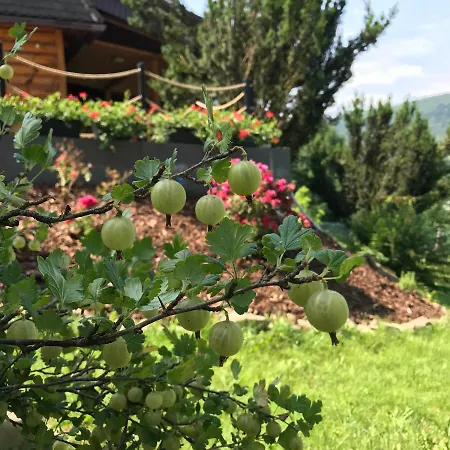 Rudera U Siostr Drewniany Stróża